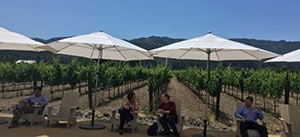 Clients enjoy lunch break at Napa, CA